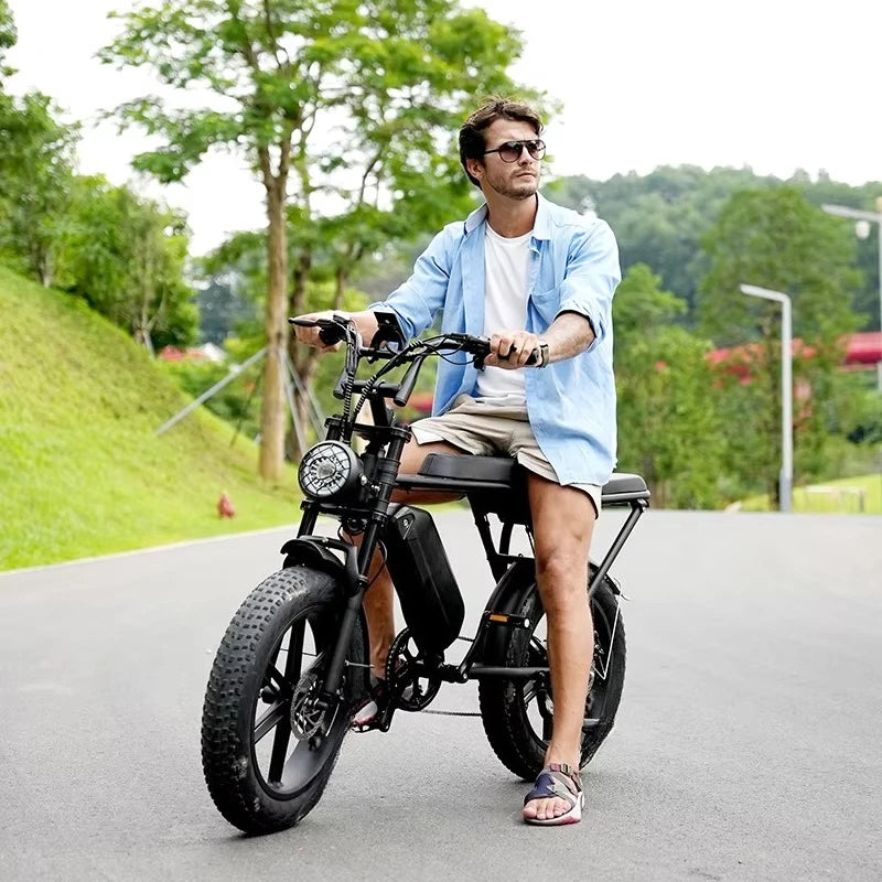 48v Electric Hybrid Bike V8 Electric Bicycle Fatbike EU Stock Ready to Ship 1000W 15Ah Ebike