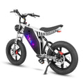 Electric Bicycle Equipped 20inch Fat Tire Using 48V 19Ah Lithium Battery Powered E-bike
