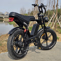V8 Pro 20-Inch Fat Tire All-Terrain Electric Dirt Bike 250W Electric Bicycle 48V Lithium Battery Bicicleta Electric E-Bike Ebike