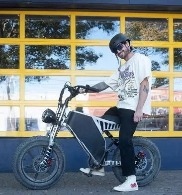 Electric Bicycle Equipped 20inch Fat Tire Using 48V 19Ah Lithium Battery Powered E-bike
