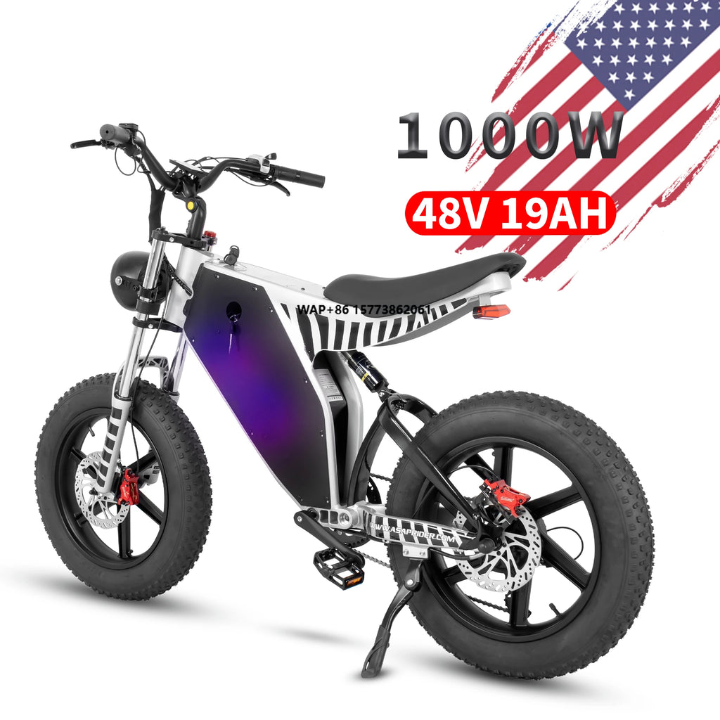 Electric Bicycle Equipped 20inch Fat Tire Using 48V 19Ah Lithium Battery Powered E-bike